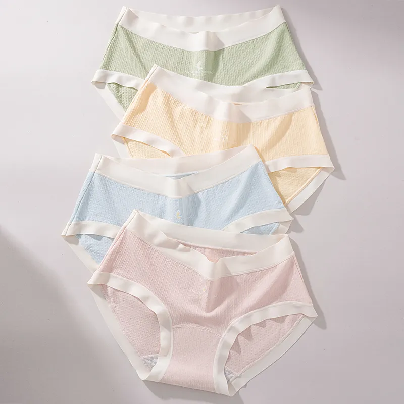 2323 Underpants Women's Combo Set-2