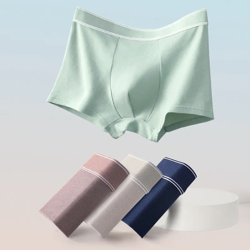 2323 Men Underpants-1