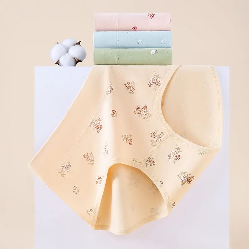 2323 Women's Underpants-3