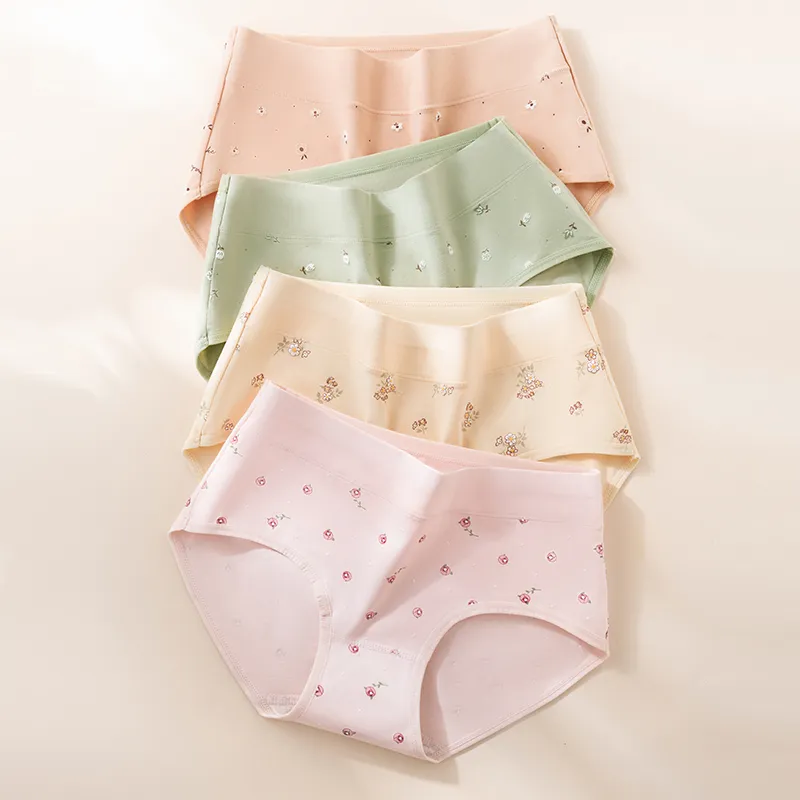 2323 Women's Underpants-1
