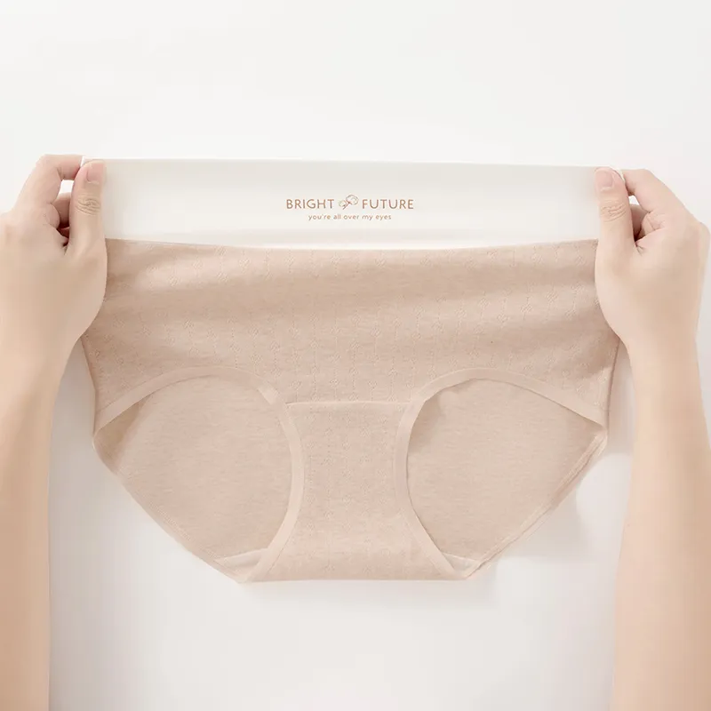 2323 Underpants Women's Combo Set-1