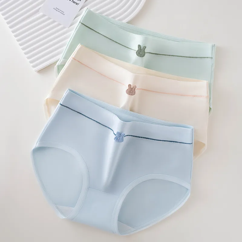 2323 Underpants Women's Combo Set-2