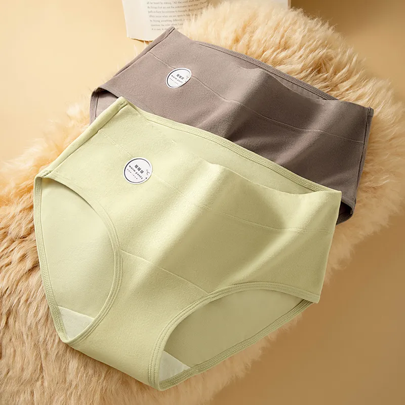 2323 Underpants Women's Combo Set-2