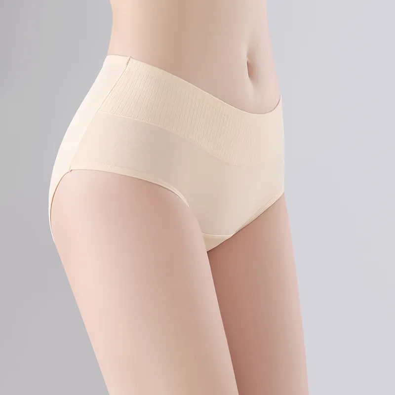 2323 Underpants Women's Combo Set-2