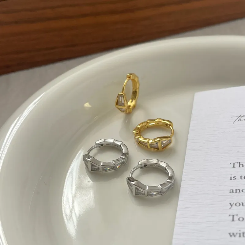 2323 S925 Silver Earrings Women's-1