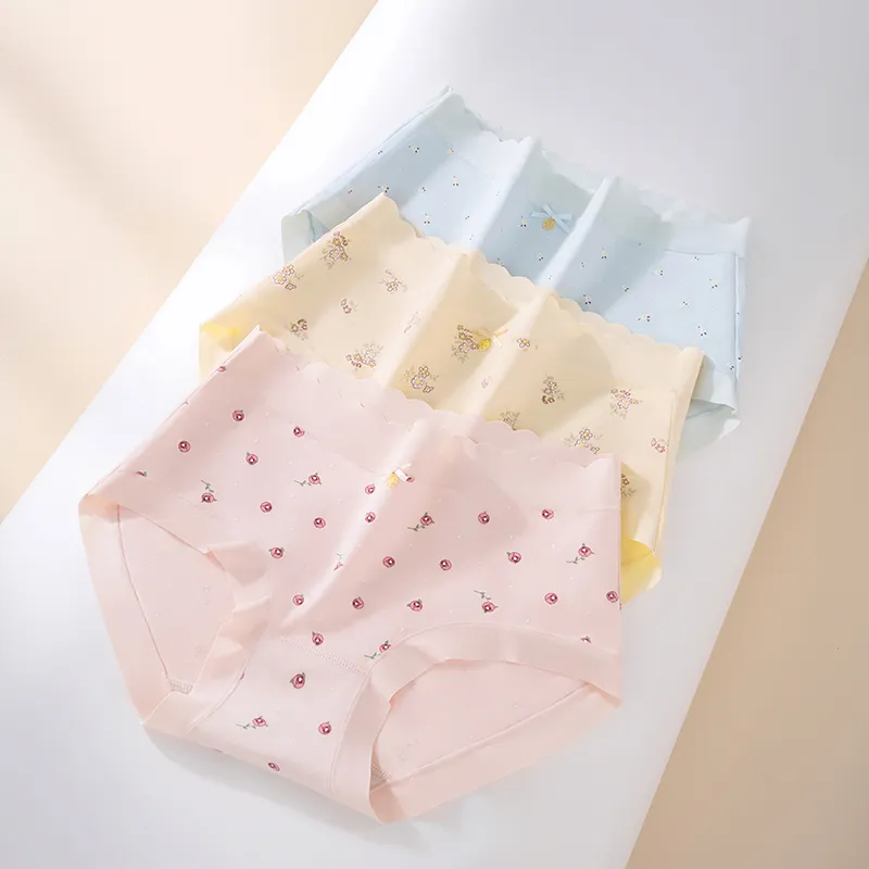 2323 Underpants Women's Combo Set-2