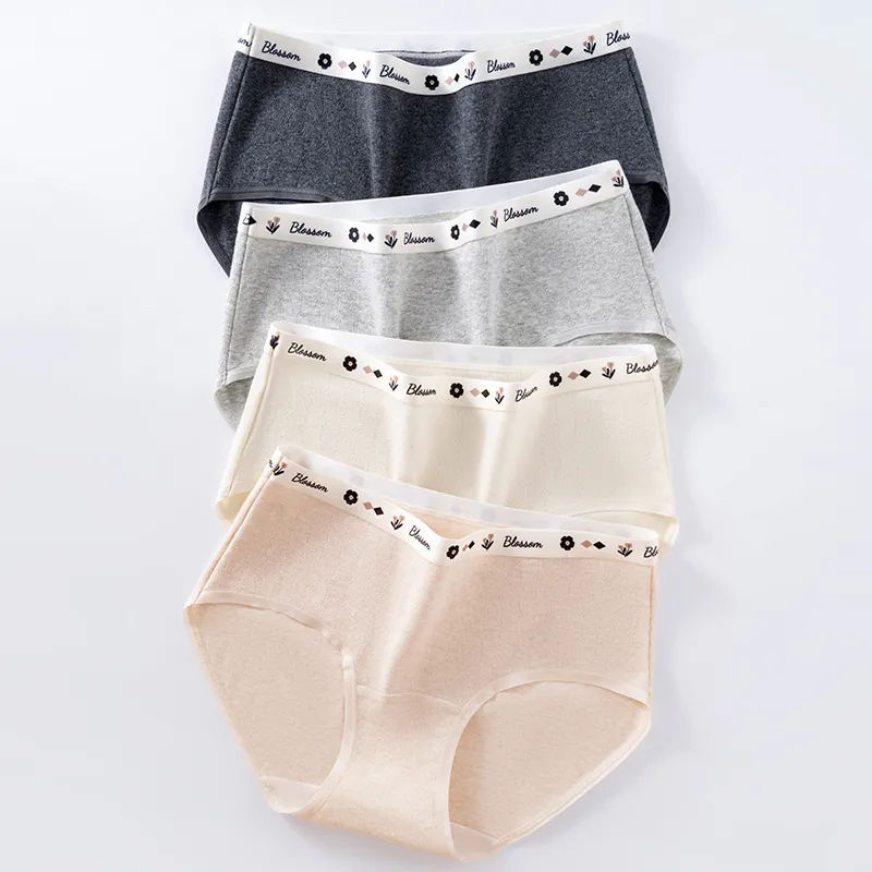 2323 Underpants Women's Combo Set-2