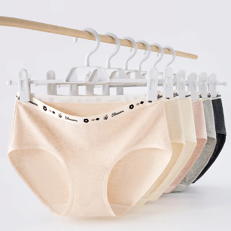 2323 Underpants Women's Combo Set-1