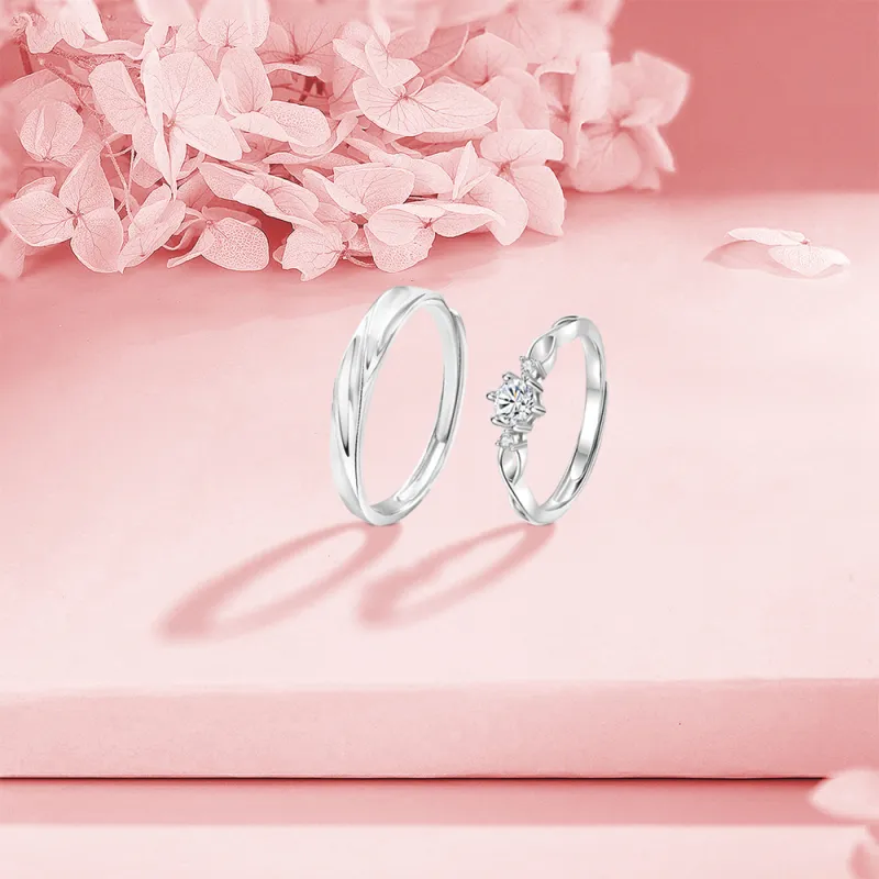 BLANK IN BLANK Sterling Silver Rings Unisex Date Snake Year Ornament Box-2