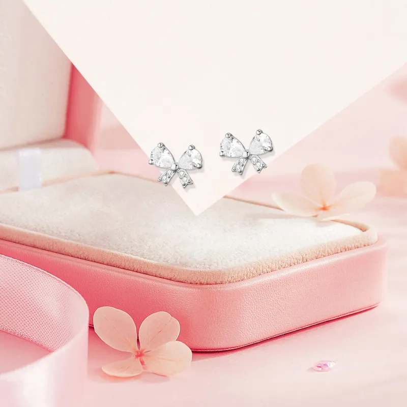 BLANK IN BLANK Sterling Silver Stud Earrings Women's Couple Bestie Birthday Box For Girls-3