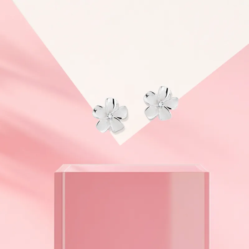 ZWU Sterling Silver Zircon Stud Earrings Fashion Stud Earrings Women's-4