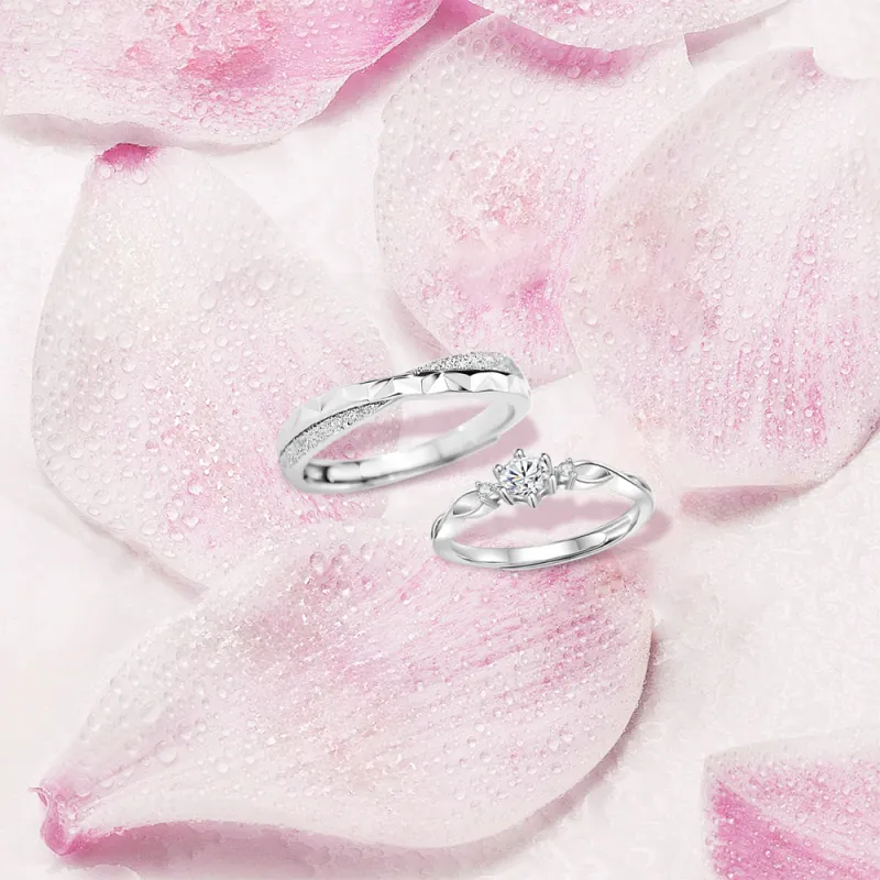 BLANK IN BLANK Sterling Silver Rings Unisex Date Snake Year Ornament Box-2