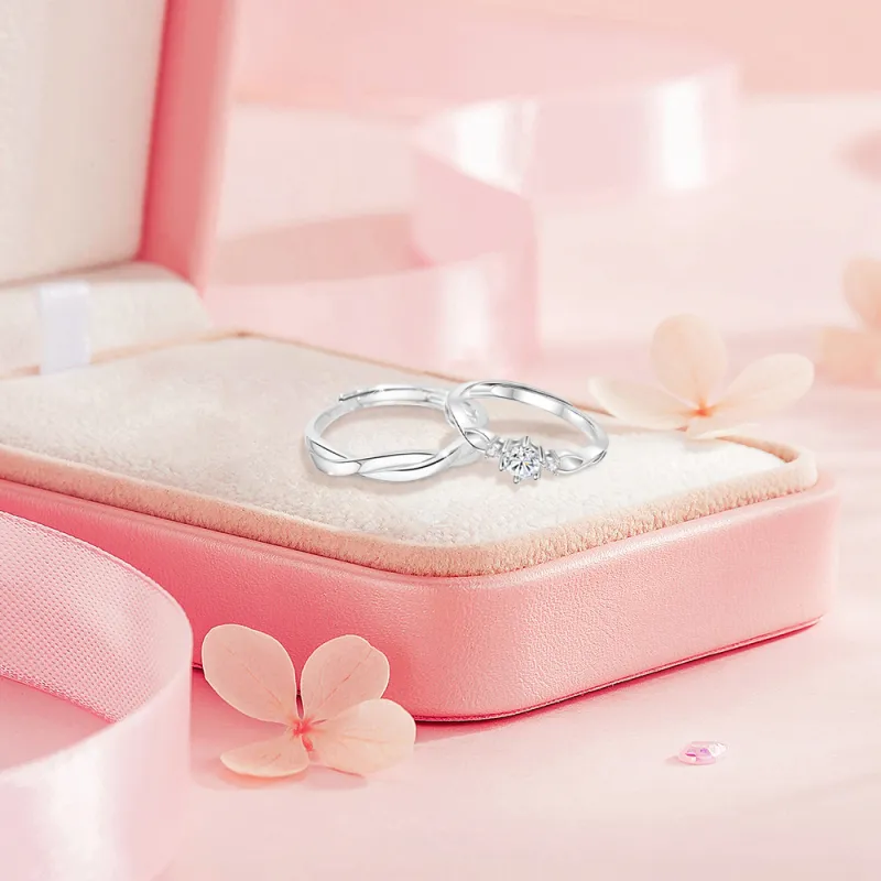 BLANK IN BLANK Sterling Silver Rings Unisex Date Snake Year Ornament Box-2