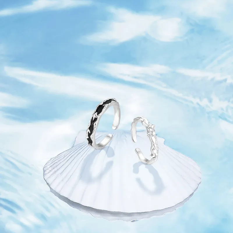 BLANK IN BLANK Sterling Silver Rings Unisex Snake Year Box-4