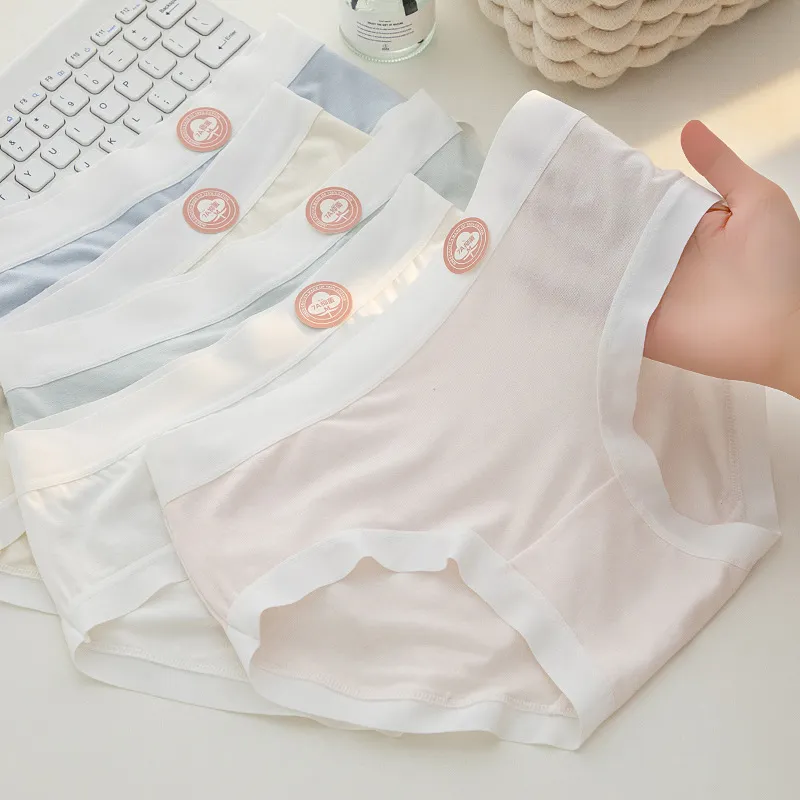 Beerus Underpants Women's 3 Pack-3