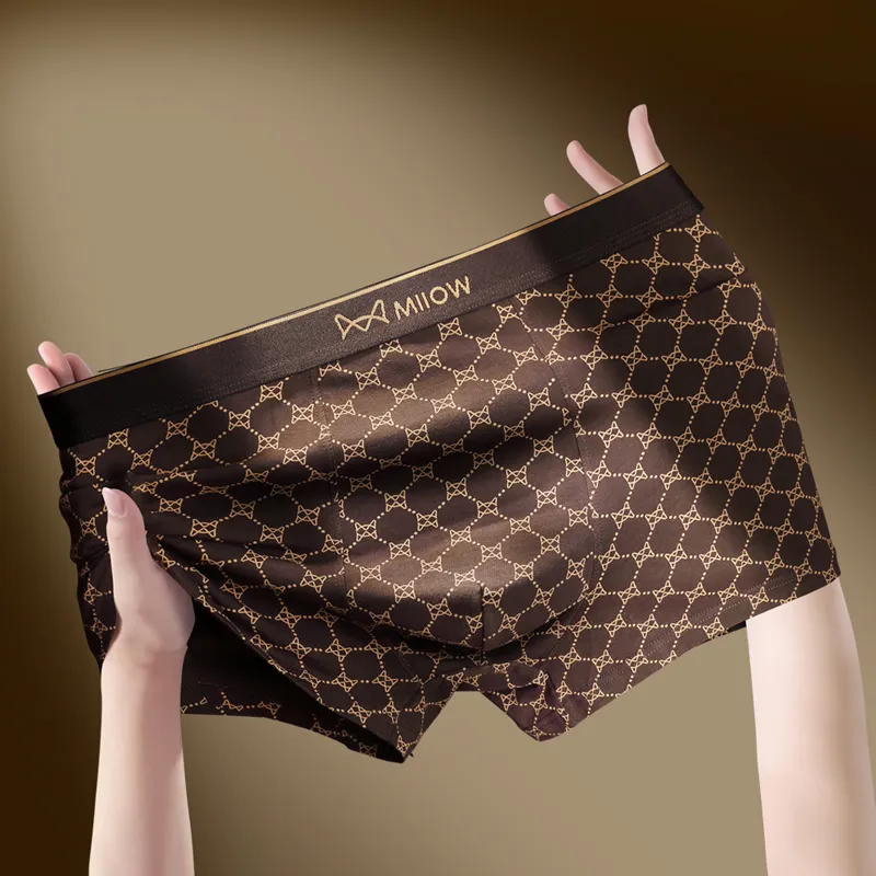 MIIOW Men Underpants-8