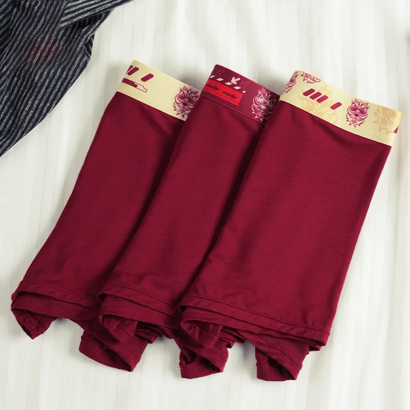 MIIOW Men Underpants-10