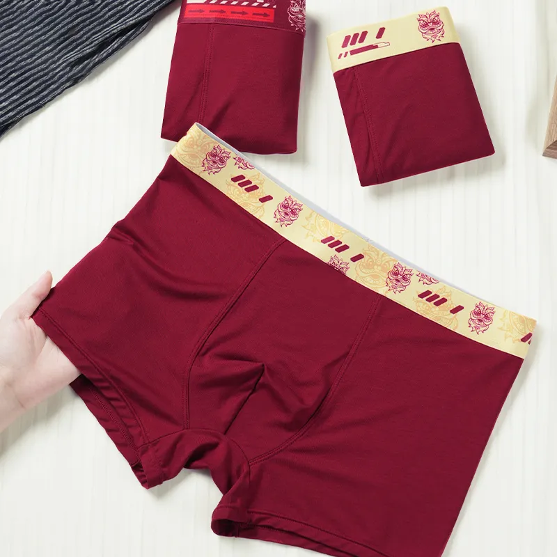 MIIOW Men Underpants-6