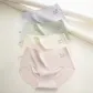 Light Yellow+Light Pink+Light Green