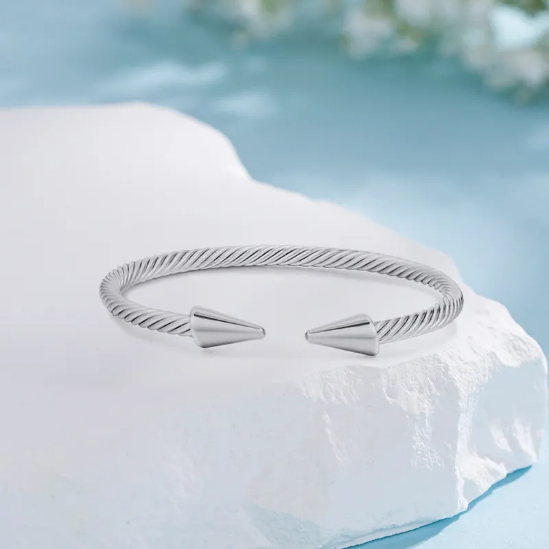 Shang Yinfu Titanium Steel Bangles Men's-2
