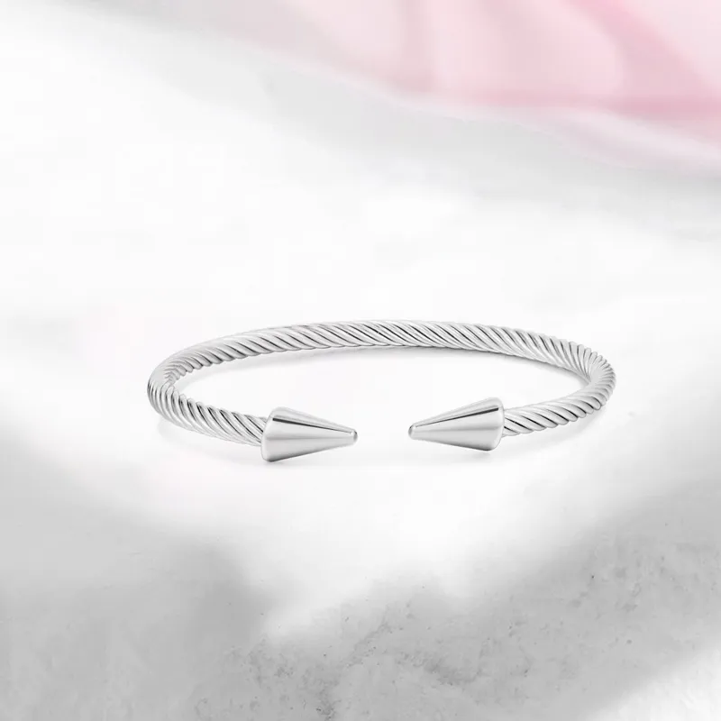 Shang Yinfu Titanium Steel Bangles Men's-1