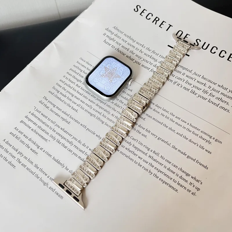 CHENSONG Apple Compatibility Watch Band 206mm Metal-1
