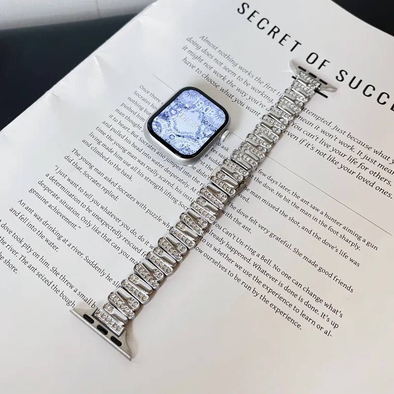 CHENSONG Apple Compatibility Watch Band 206mm Metal-5