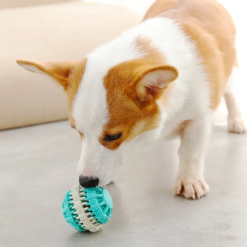 Kimpets Pet Toys-3