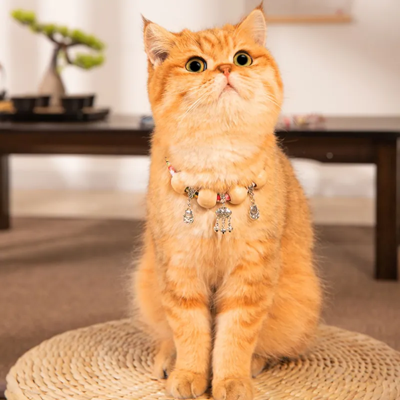 Kimpets Dog / Cat Collars-13