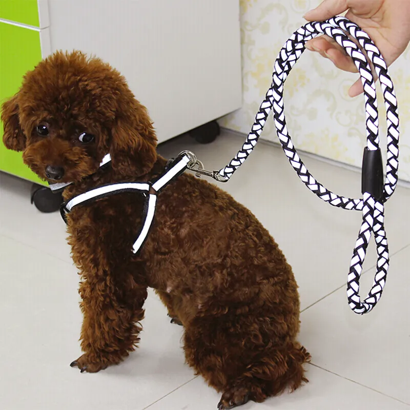 Kimpets Leashes-5