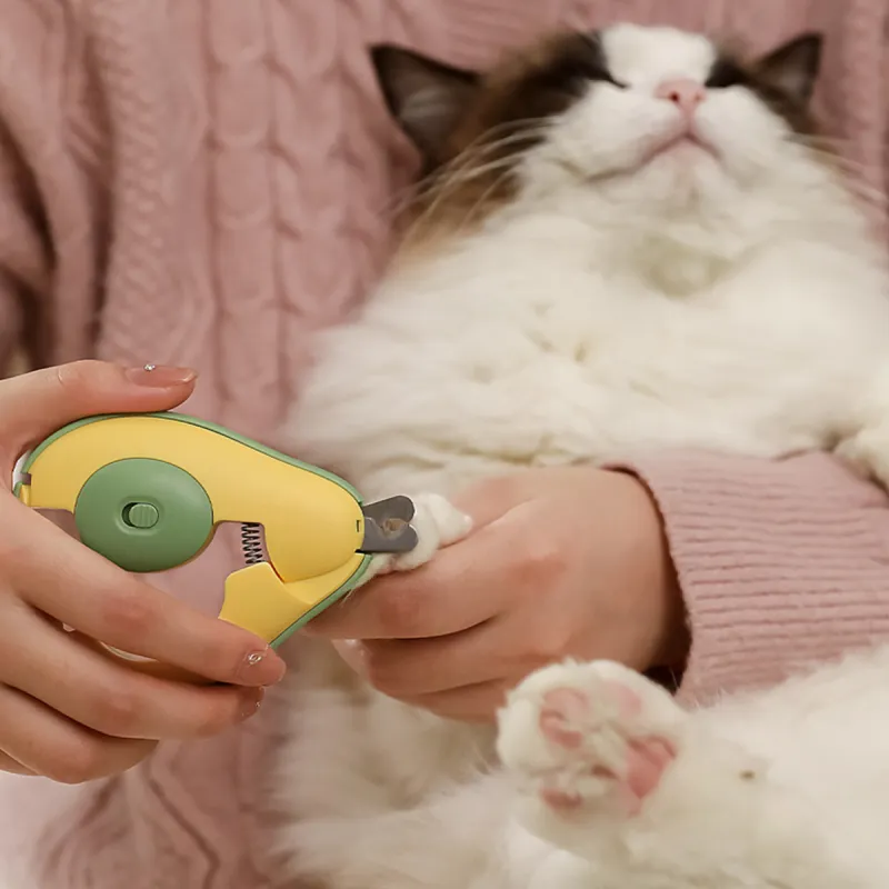 Bebe fun Cat And Dog Combs & Flea Combs-5