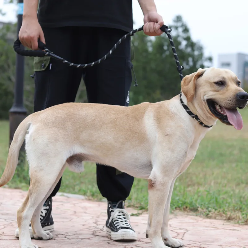 Kimpets Leashes-2