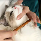 Jacket gecertificeerd voor CE Cat