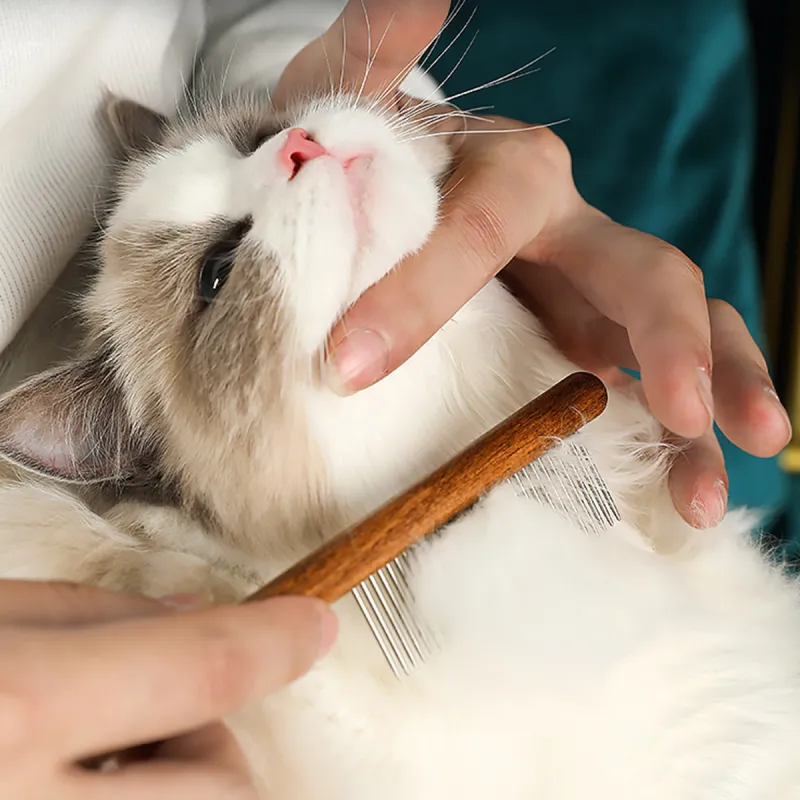 Jacket gecertificeerd voor CE Cat