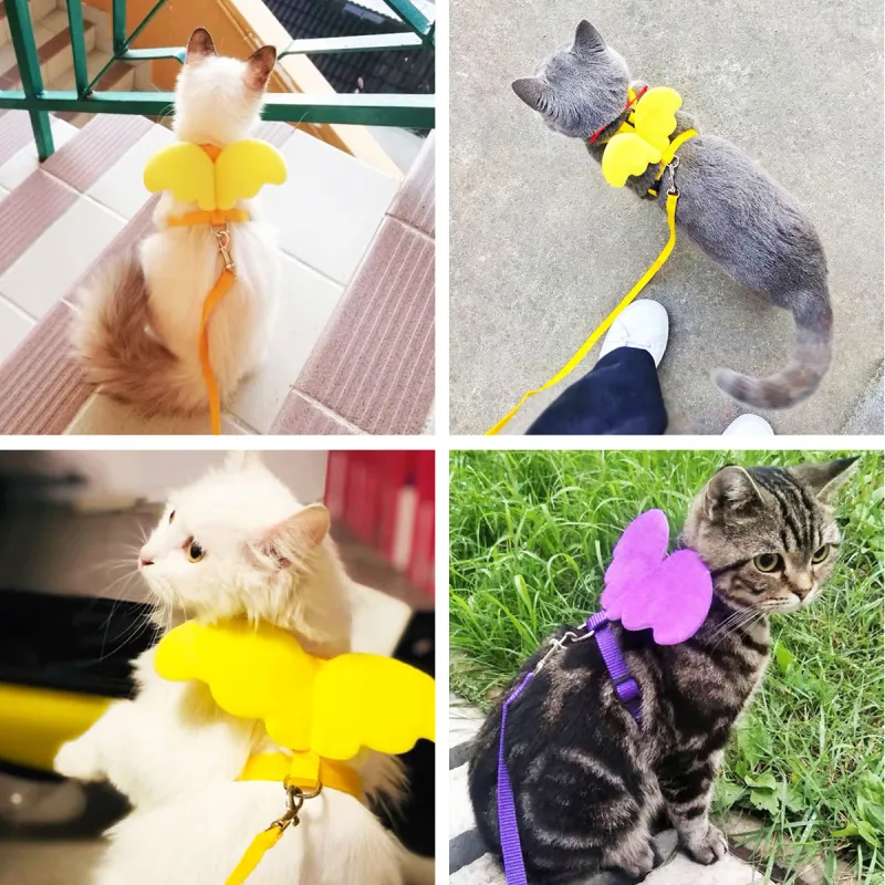 Kimpets Leashes-2