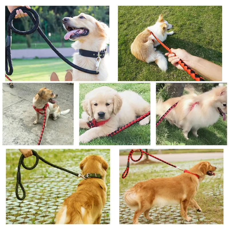 Kimpets Leashes-4