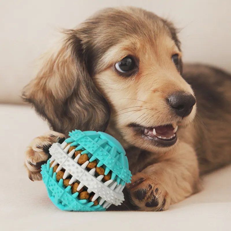 Kimpets Pet Toys-4