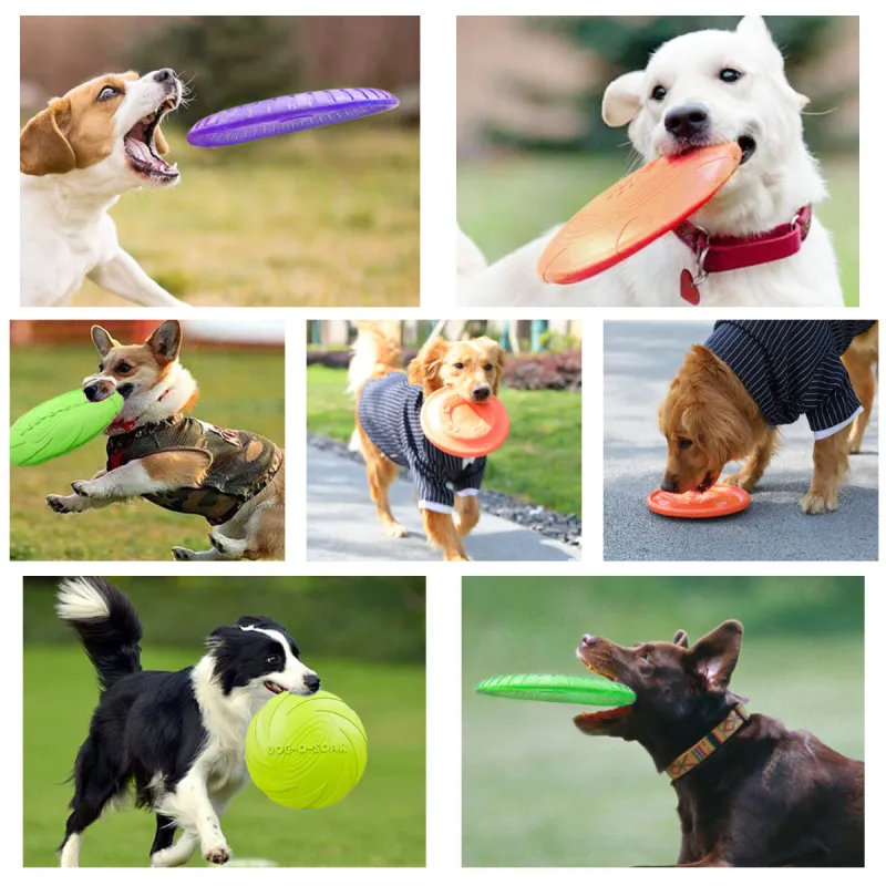 Kimpets Pet Toys-4