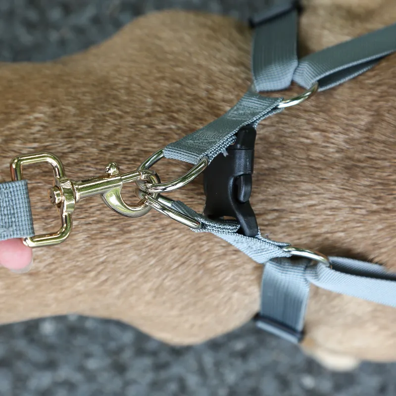 Kimpets Leashes-6