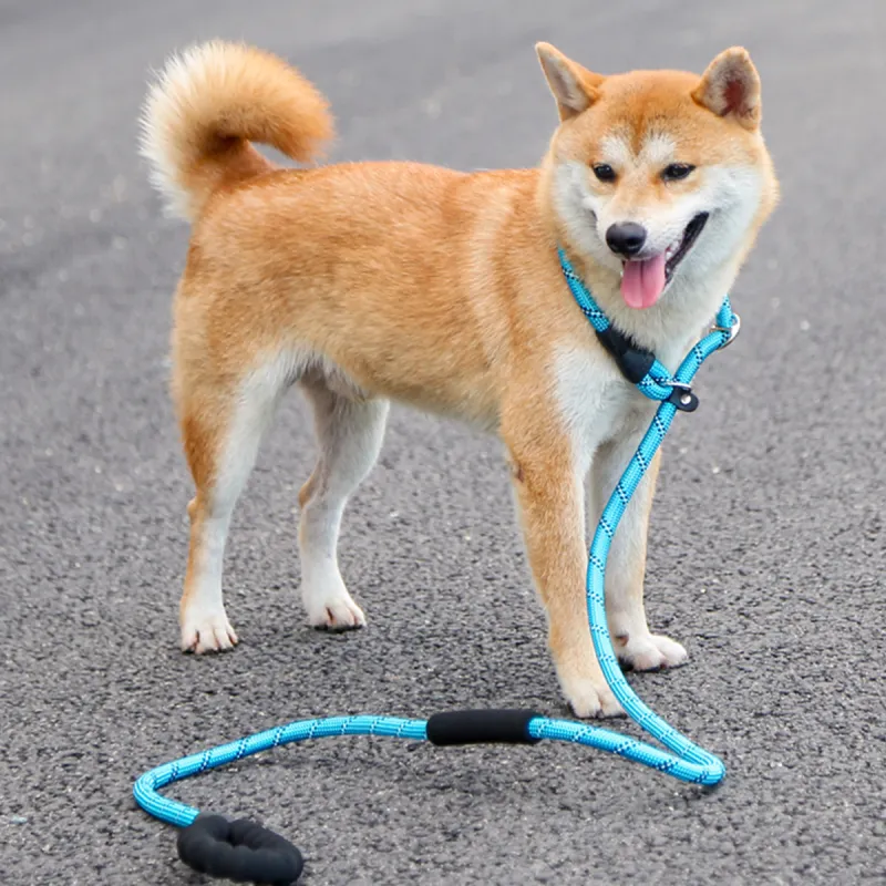 Kimpets Leashes-4