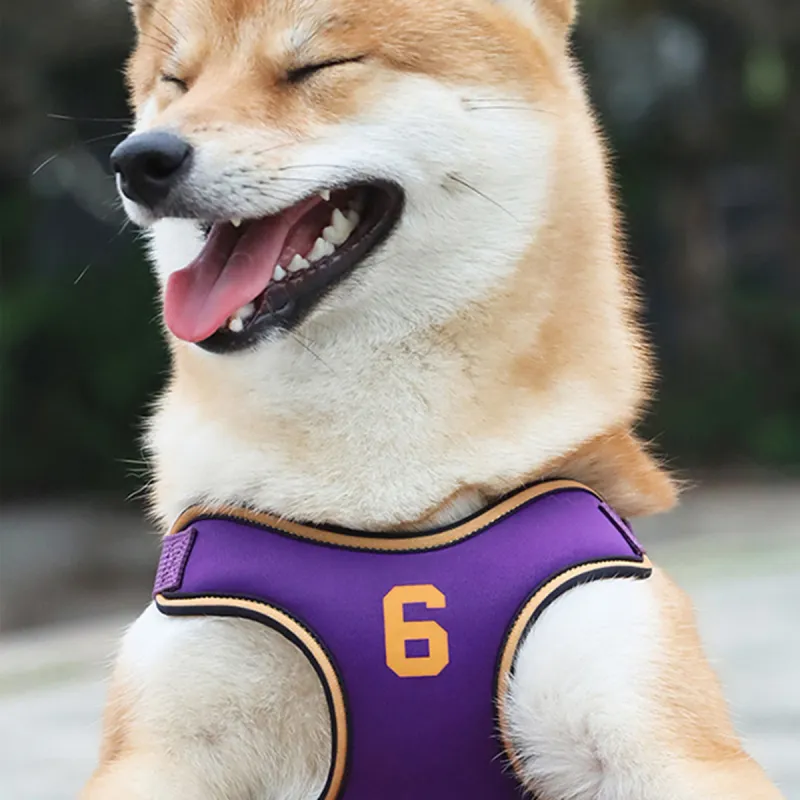 Kimpets Leashes-2