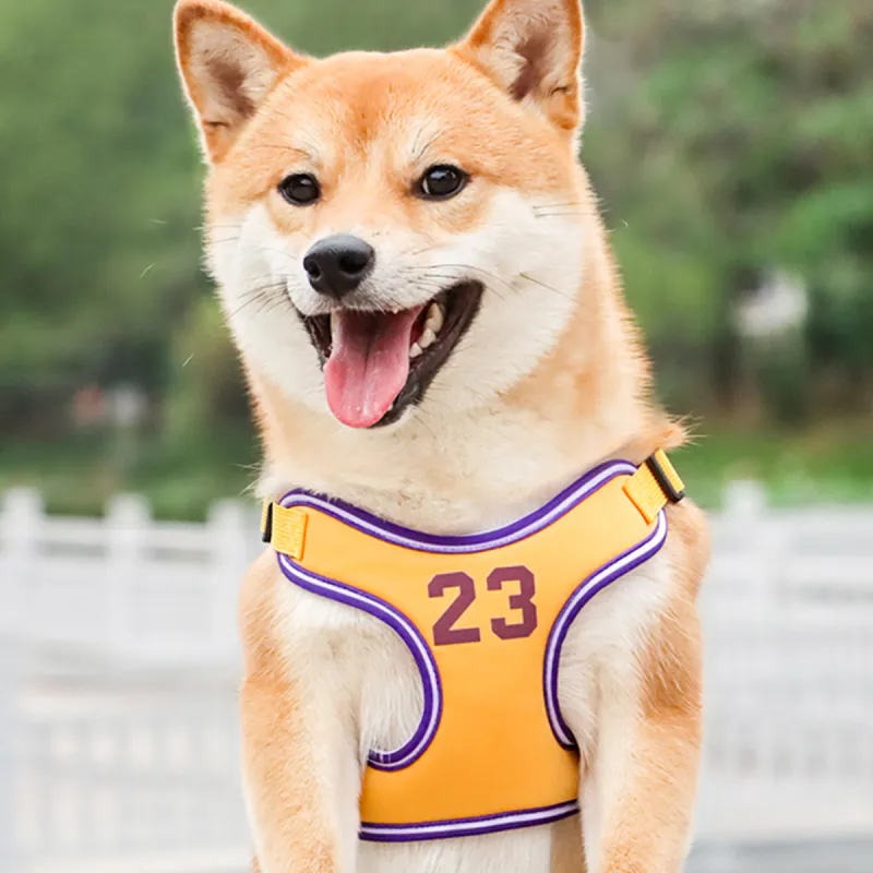 Kimpets Leashes-2