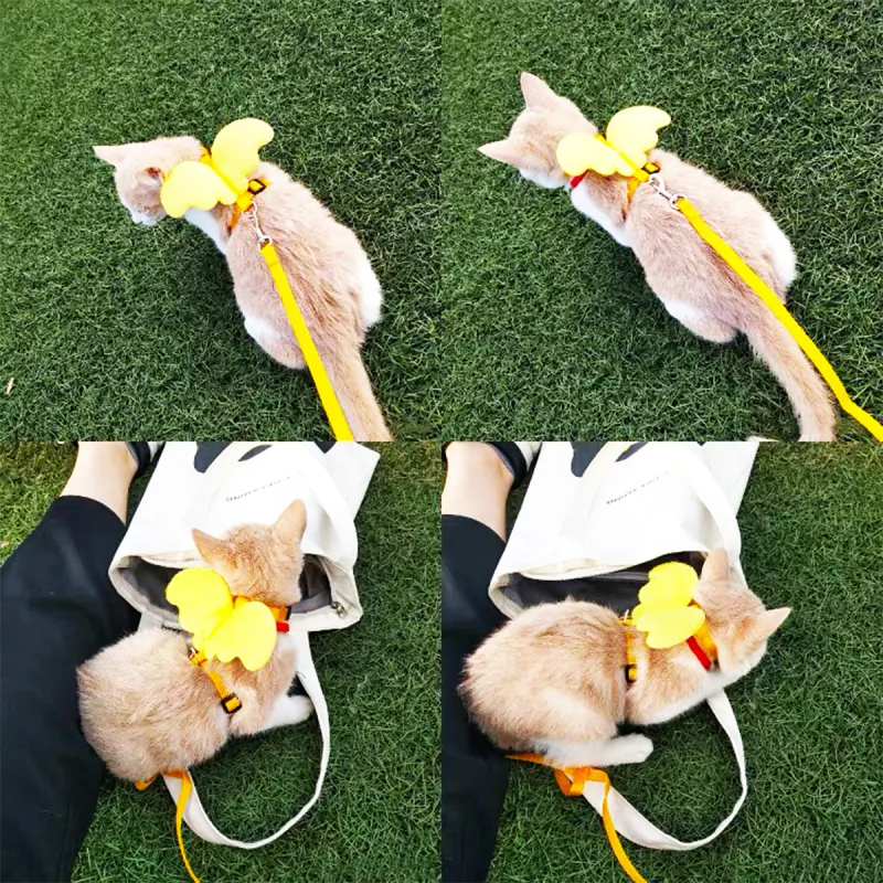 Kimpets Leashes-4