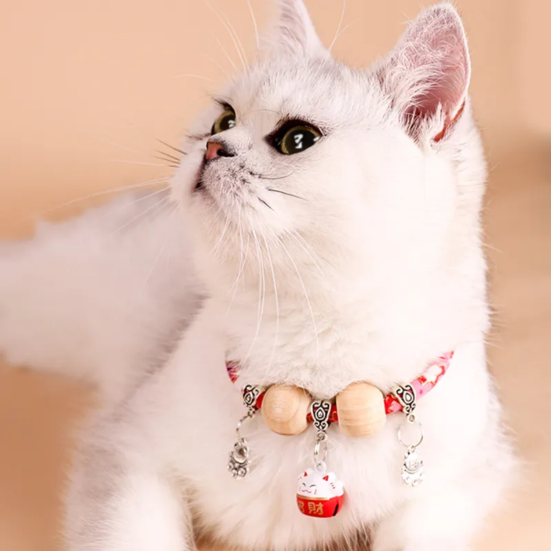 Kimpets Dog / Cat Collars-11