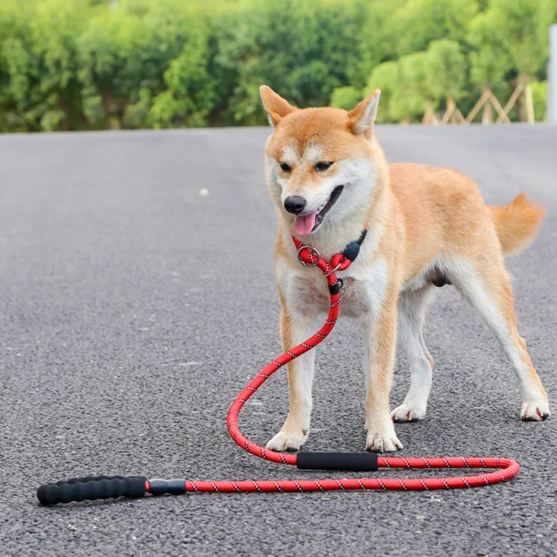 Kimpets Leashes-2