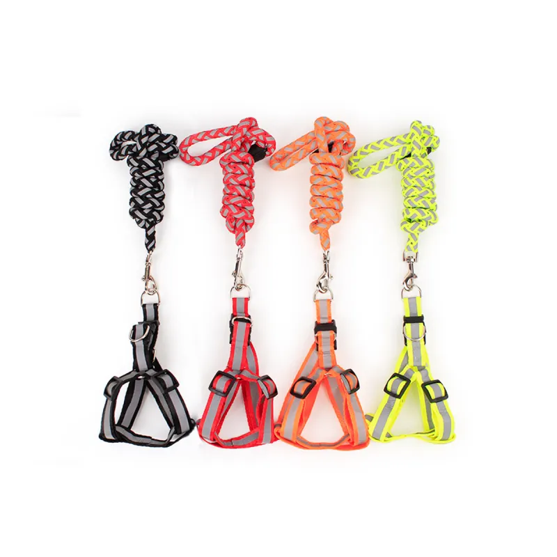 Kimpets Leashes-1