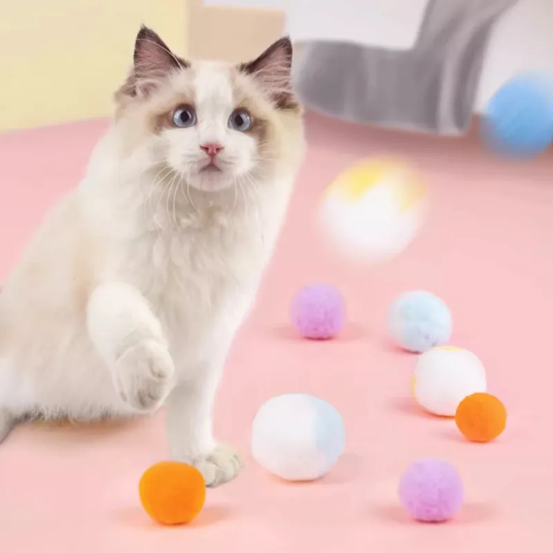 Kimpets Pet Toys-2