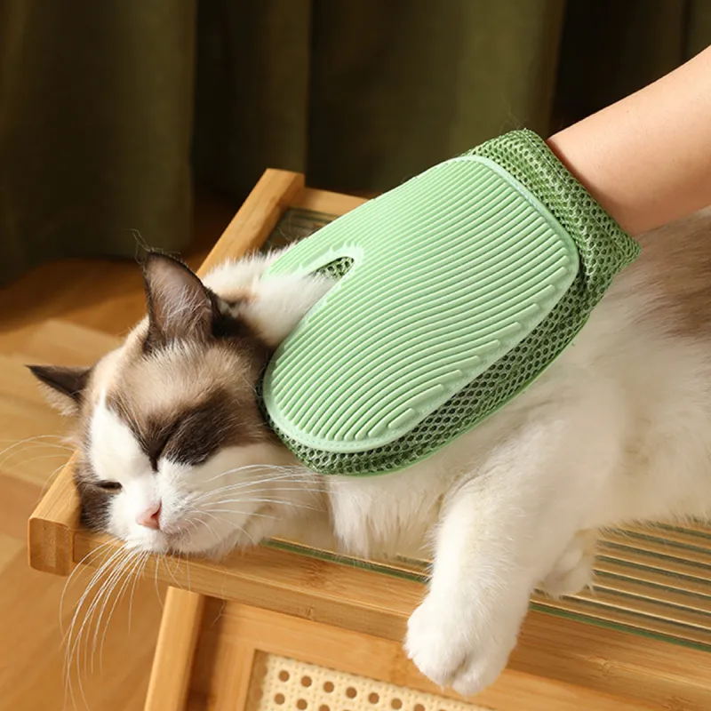 Cat Logo on the chest