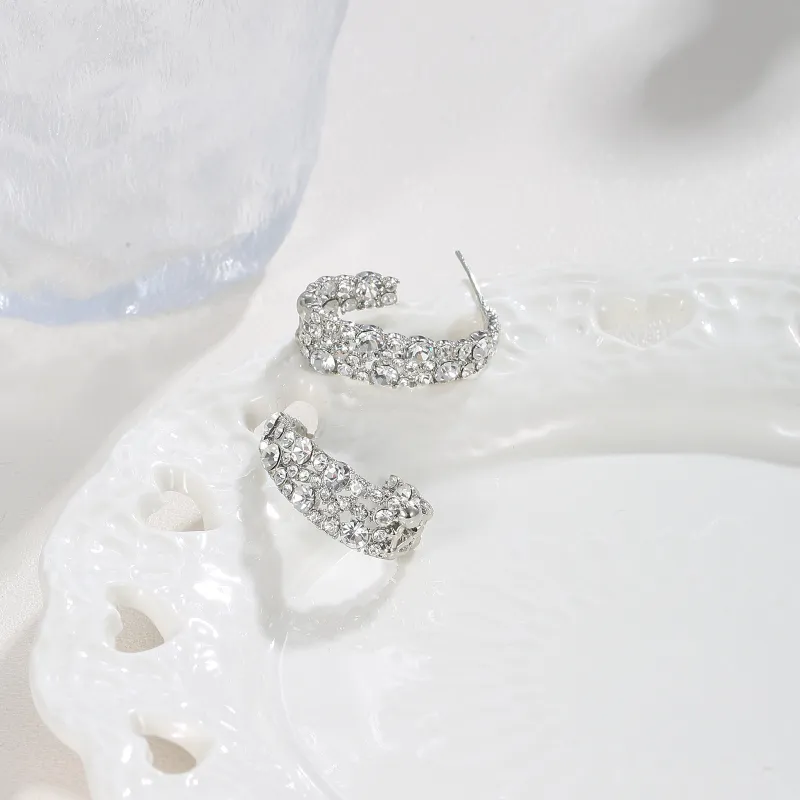 Suddenly Lucky Alloy Earrings Women's-5