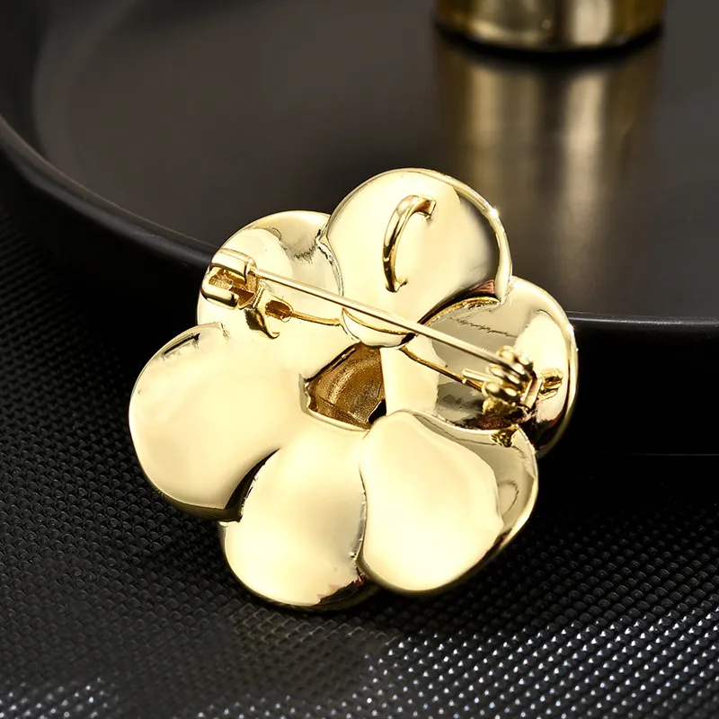Suddenly Lucky Alloy Brooches Women's-5